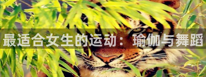 看球通体育小东北