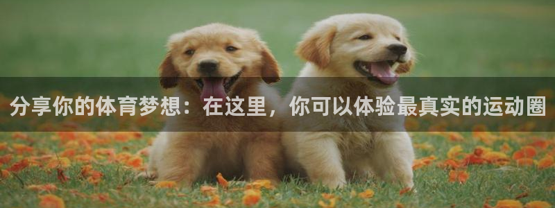 看球通体育网页版