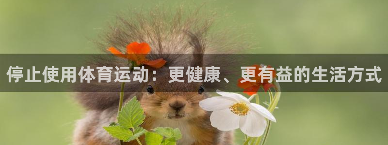 关键词：停止使用体育运动：更健康、更有益的生活方式