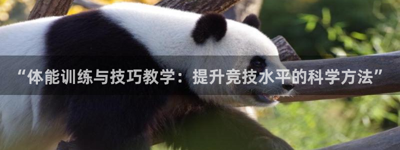 看球通体育官网