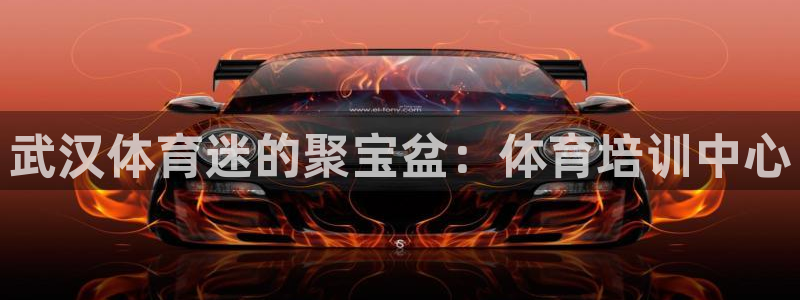 看球通体育NBA直播吧：武汉体育迷的聚宝盆：体育培训中心